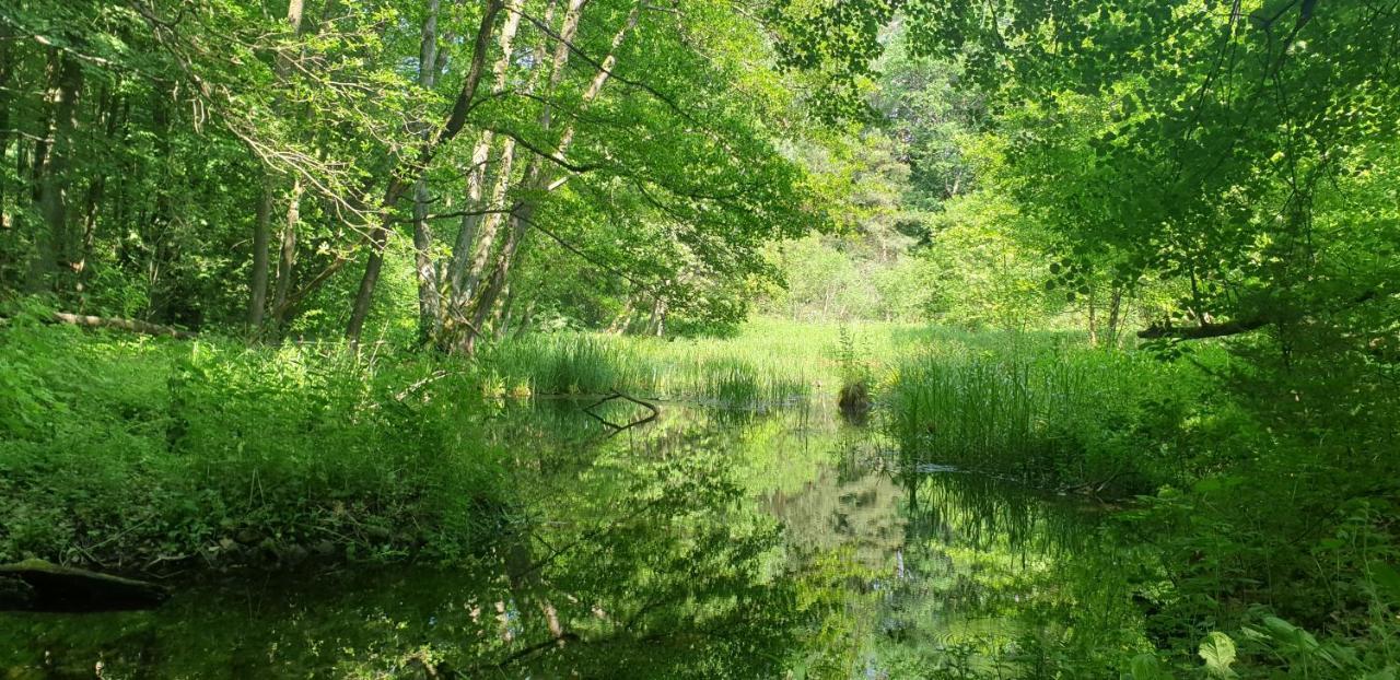 Jodłowe Chaty Adamow  Exteriér fotografie